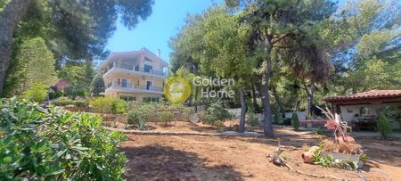 Μεζονέτα για ενοικίαση Θεολόγος (Μαλεσίνα) - Φωτογραφία 4