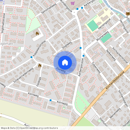 Flurweg 10, 3250 Lyss