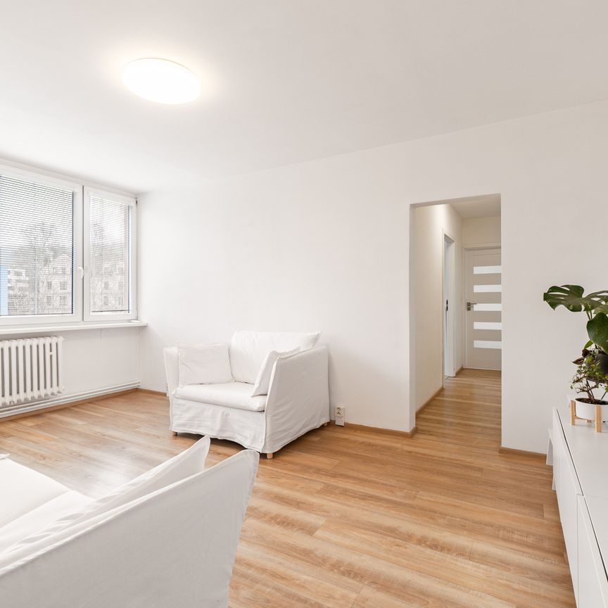 Pronájem bytu 3+kk v osobním vlastnictví 55 m², Praha 8 - Karlín - Fotografie 1