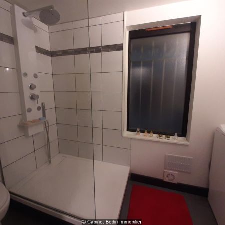 Location Appartement 1 piece Toulouse - Photo 4