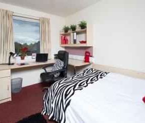 Premium Plus Ensuite - Photo 1