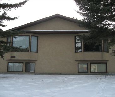 Three bedroom basement for rent capitol hill — 3 Bedrooms Fourplex - Photo 1