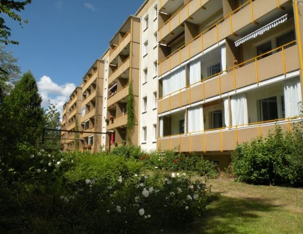 2-Raumwohnung in ruhiger Lage! - Foto 1