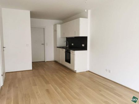Moderne 2-Zimmer-Wohnungen mit Balkon - Foto 3