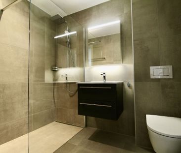 Appartement récent et lumineux de 2 pièces, avec vue et grande terr... - Photo 3