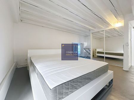Appartement duplex - Hyper centre Lyon 2e, - Photo 5