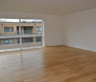 Guldblommevej - Photo 3