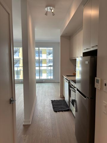 Appartement à louer, Montréal (Le Sud-Ouest) - Photo 3