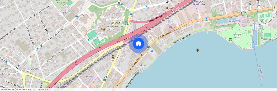 1110, Morges, Rue de Lausanne, 33C