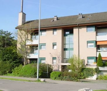 3.5 Zimmer, 82 m², 1. Stock - Foto 4