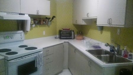 For Lease - 31 Matterdale Avenue Unit# BSMT Room-L, Brampton, Ontario - Photo 3
