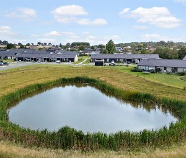 Velkommen til Nonnebakken! - Foto 2