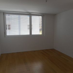 Ihr neues Zuhause! - Foto 2