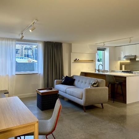 3 1/2 - Montréal (La Petite-Patrie) - 1 675 $/mois - Photo 4