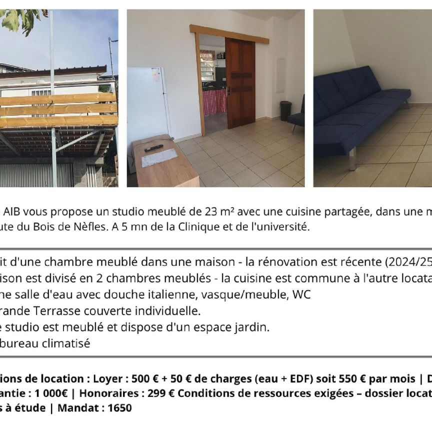 Location Appartement 1 pièce Meublé 23m² ST DENIS 97400 - Photo 1