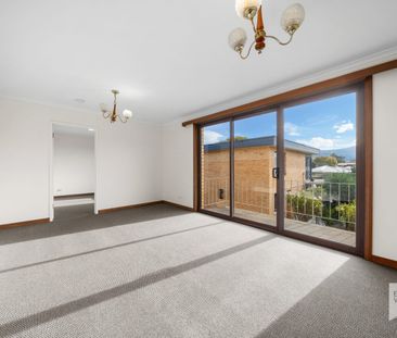 Freshly Renovated Warm Sunny 2 Bedroom Unit - Photo 2