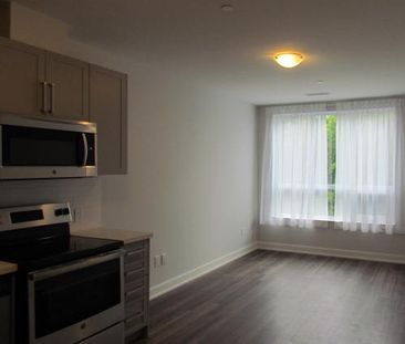 Catherton Charitable Foundation - Photo 2