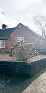 Hammer Hill, Haslemere, GU27 3QZ - Photo 3