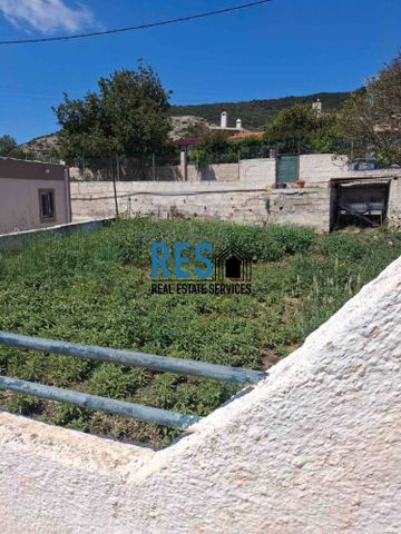 Μονοκατοικία για ενοικίαση Ελαιοχώρι (Κερατέα) - Φωτογραφία 3
