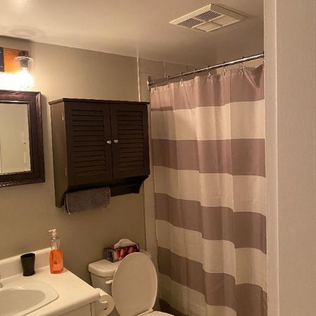 Grand 4 1/2 (RÉNOVÉ) prêt Février - Photo 4