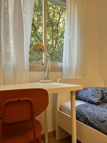 Plaça Nova de lEsglésia, Valencia, Valencian Community 46025 - Photo 3