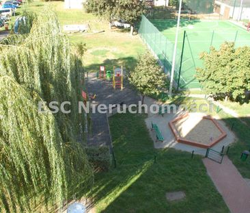 Piła, Zamość - Zdjęcie 6