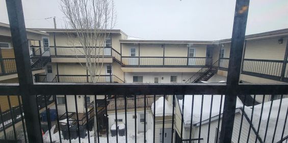 159 Rue Eddy (Hull) Très Beau Studio - Photo 3