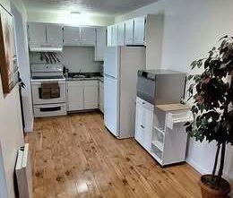 Logement 3 1/2 - Photo 3