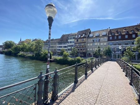 GRAND 2 PIECES MEUBLE STRASBOURG - 2 pièce(s) - 51 m2 - Photo 3