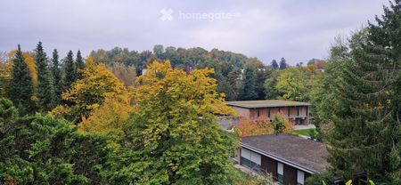 Wohnung mit Cheminée und Weitsicht - Foto 5