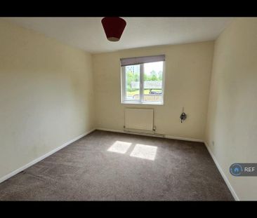 4 bedroom semi-detached house to rent - Photo 5