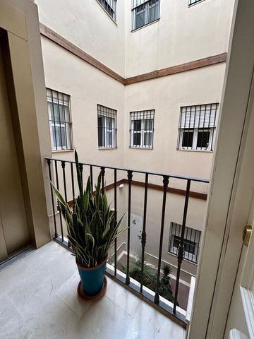 Sevilla, Andalusia 41001 - Photo 4