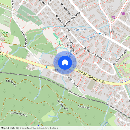 Birmensdorferstrasse 598, 8055, Zürich