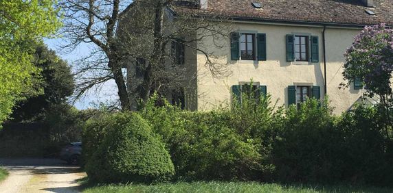 8 Zimmer, 250 m², 1. Stock - Foto 2