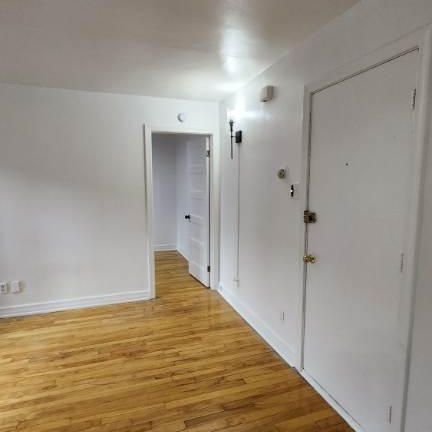 beau 3 et demi, A ROSEMONT, AV PAPINEAU, LIBRE PRESENTEMENT - Photo 3