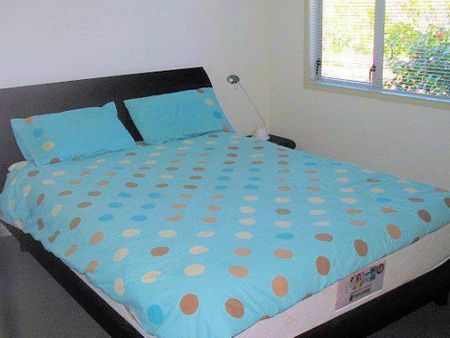 PURIRI PLACE - SUNNY AND SPACIOUS - Photo 5