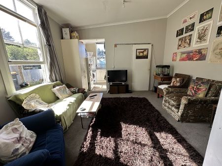 6 Allen Street, North East Valley - Photo 2