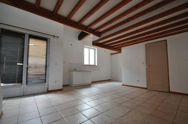 GRATTE CIEL/ RUE PAUL LAFARGUE - DUPLEX T2 RDC 47m2 , Villeurbanne - Photo 1