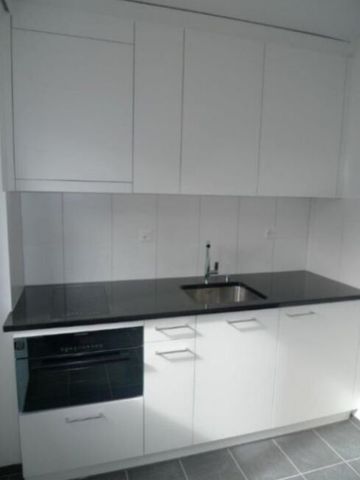 Appartement 1 pièce près de la gare CFF - Photo 3