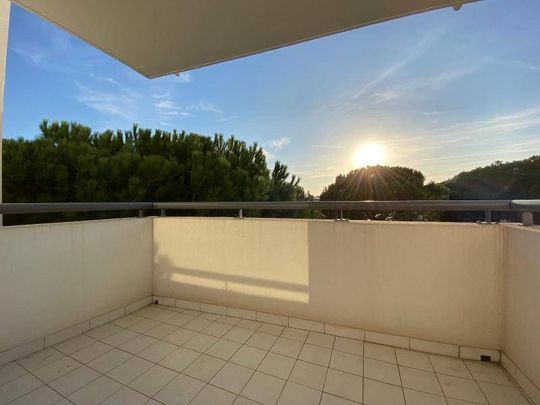 Location appartement 1 pièce 19.75 m² à Montpellier (34000) - Photo 1