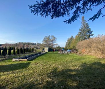 For Lease - 45 Wellington Road 124 N/A Unit# C, Erin, Ontario - Photo 6