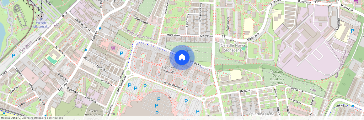 ul. Johna Baildona, Dąb, Katowice, śląskie