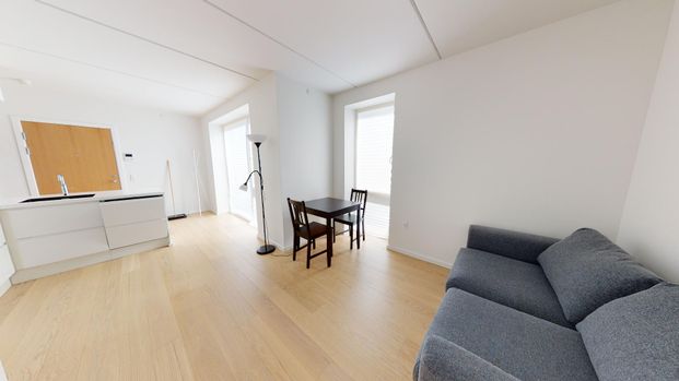 70m² Lejlighed | Nordhavn - Photo 1