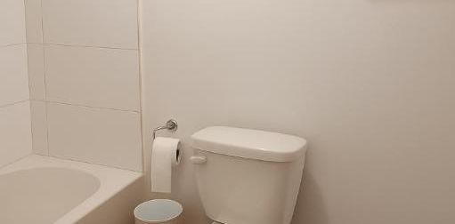 1 CH - 1 SDB - Montréal - $1,220 /mo - Photo 2