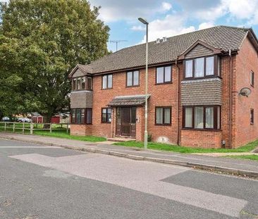 Pittard Road, Basingstoke, RG21 - Photo 6