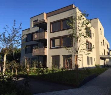 2.5 Zimmer, EG - Photo 3