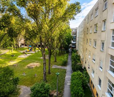 Kiadó jó állapotú panel lakás - Miskolc - Fotó 6