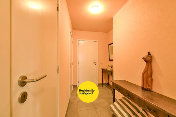 KIJKDAG zaterdag 15/11 van 10u tot 12u, op afspraak! - Photo 1