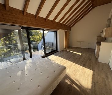 Geräumige 1-Zimmerwohnung mit großem So ... - Photo 3