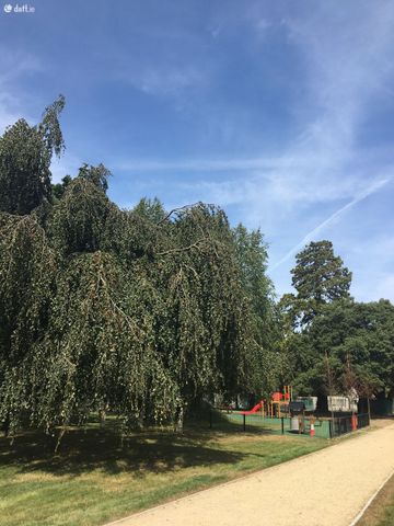 Marianella, Orwell Place, Rathgar, Dublin 6 - Photo 5